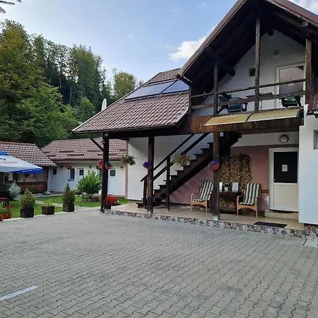 Guest house Casa Popa's Cartisoara