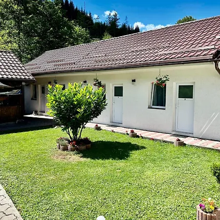 Casa Popa's Guest house Cartisoara